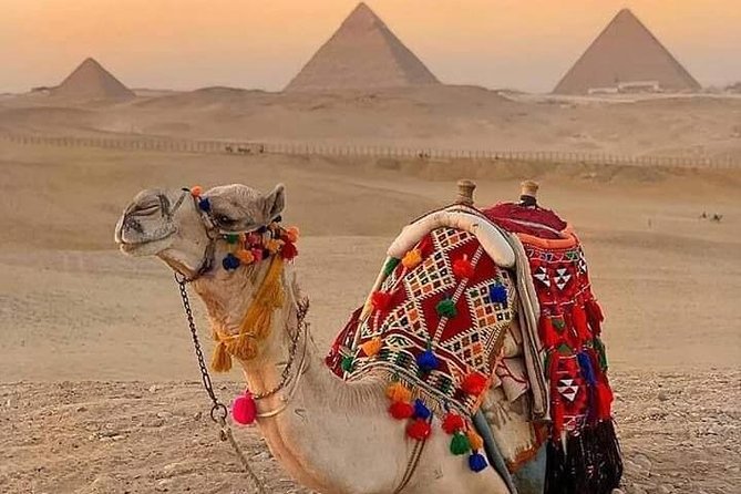 Day Tour at The Pyramids Area Riding a Camel - How to Book and Directions
