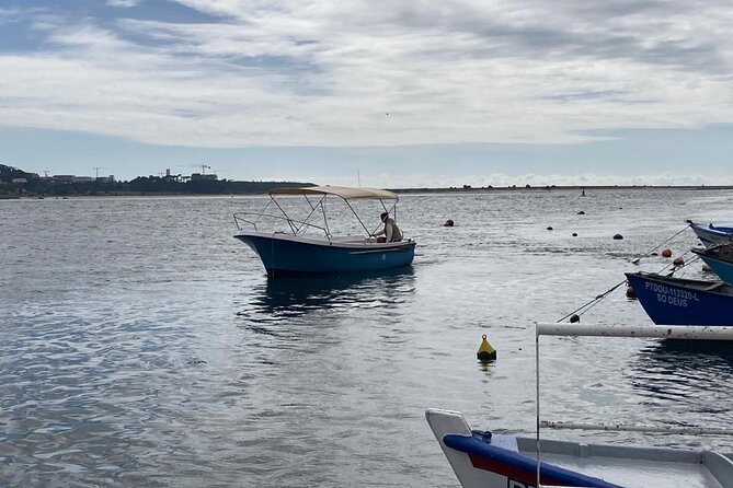 Day Tour: Best of Porto, With Boat Trip and Lunch - Local Culture and Traditions