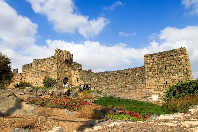 Day Tour Desert Castles & Azraq Wetland Reserve - Accessibility Information