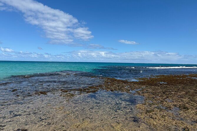 Day Tour Exploration of Fiji Culture and Nature - Good To Know