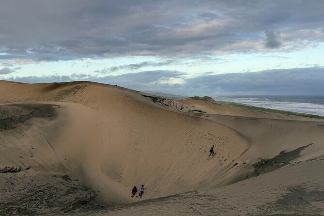 Day Tour Exploration of Fiji Culture and Nature - What Makes It Valuable?