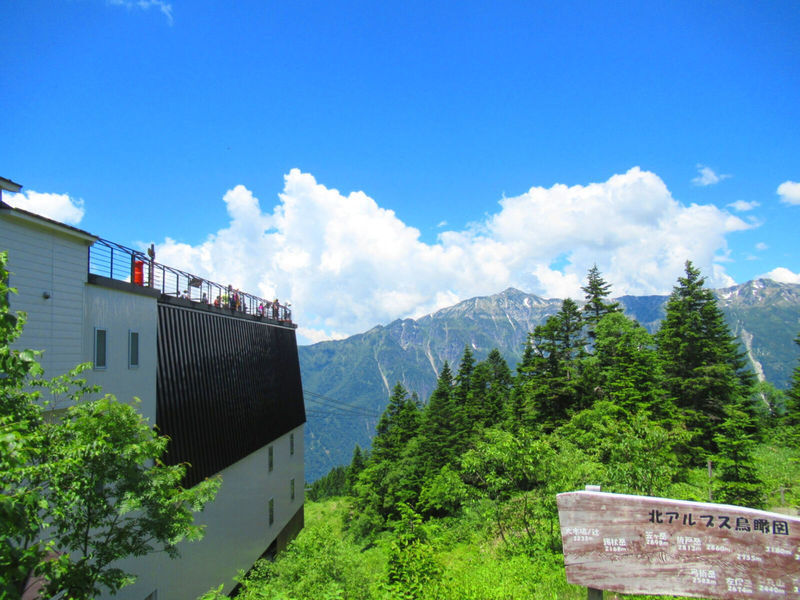 Day Tour fm Takayama: Alpine Splendor Shinhotaka Ropeway & Kamikochi - Lunch between the mountains