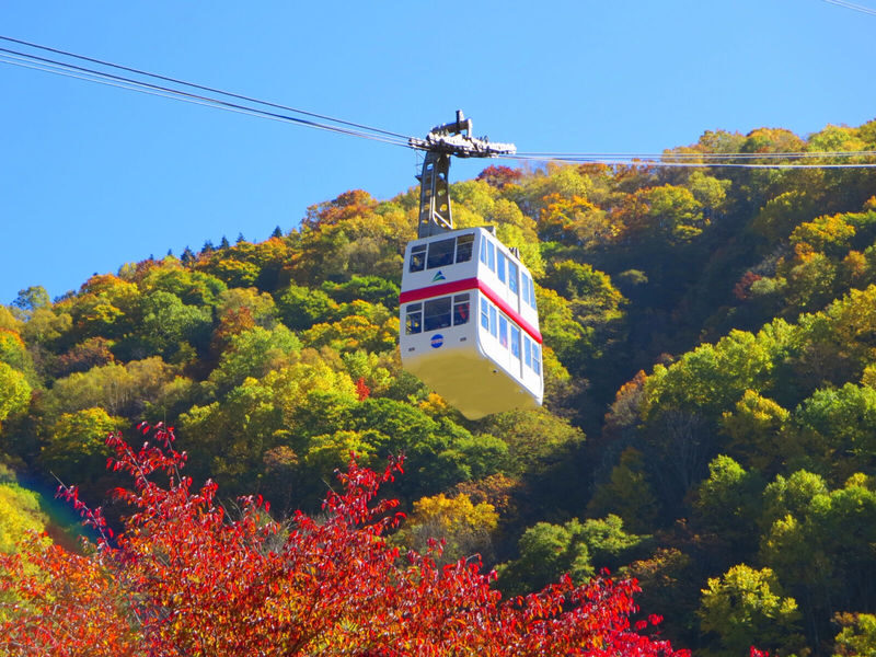 Day Tour fm Takayama: Alpine Splendor Shinhotaka Ropeway & Kamikochi - Walking beside the Azusa River in Kamikochi