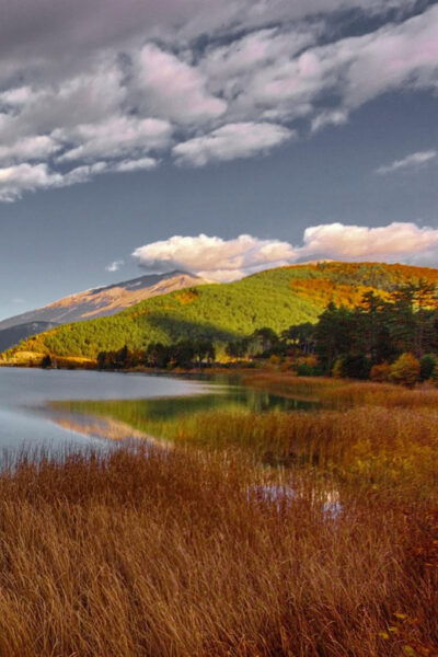 Day Tour for Wine Tasting and Hiking in Lake Doxa - Frequently Asked Questions