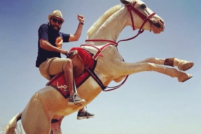 Day Tour From Cairo to Giza Pyramids and Sphinx - Booking Information