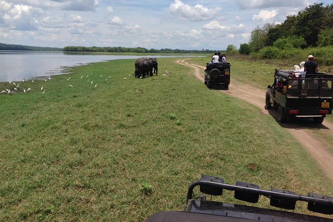 Day Tour From Colombo to Sigiriya, Pidurangala Rock & National Park Safari - Common Questions