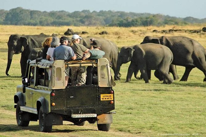 Day Tour From Colombo to Sigiriya, Pidurangala Rock & National Park Safari - The Sum Up