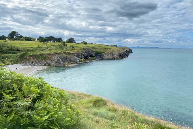 Day Tour From Dublin to Wicklow: Cliffs, Heritage, Wildlife, Gaol - Good To Know