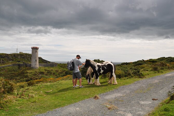 Day Tour From Dublin to Wicklow: Cliffs, Heritage, Wildlife, Gaol - Discover the Haunting History of Wicklow Gaol