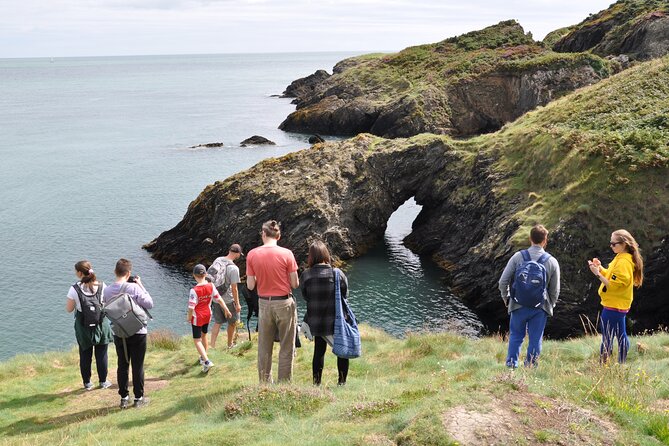 Day Tour From Dublin to Wicklow: Cliffs, Heritage, Wildlife, Gaol - Practical Information and Tips for Your Wicklow Day Tour