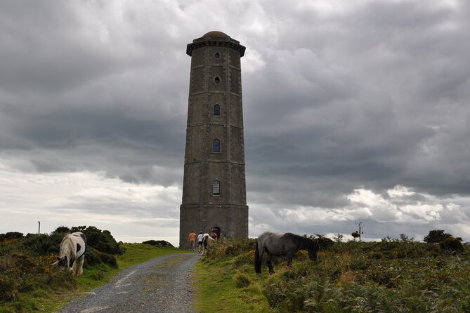 Day Tour From Dublin to Wicklow: Cliffs, Heritage, Wildlife, Gaol - Common Questions