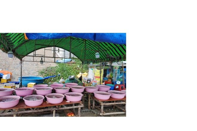 Day Tour From HCM - Discover Mui Ne With Sand Dune Sunset - Included Services
