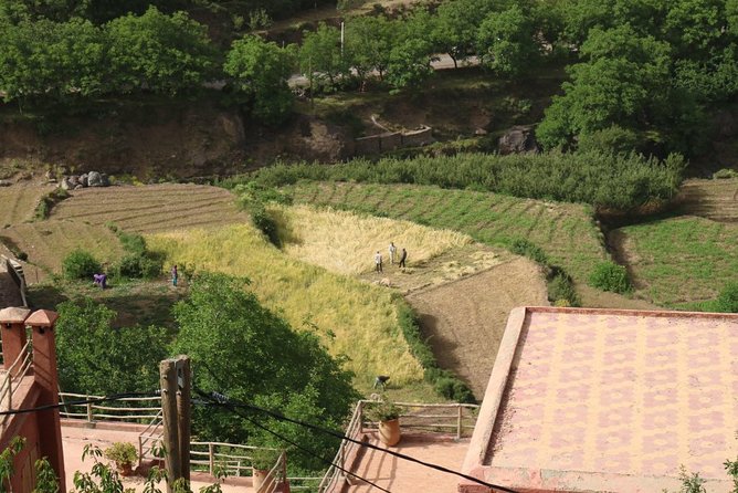 Day Tour From Marrakech to Atlas Mountains Valleys, Camel Ride & Berber Family - Experience a Camel Ride in the Valleys