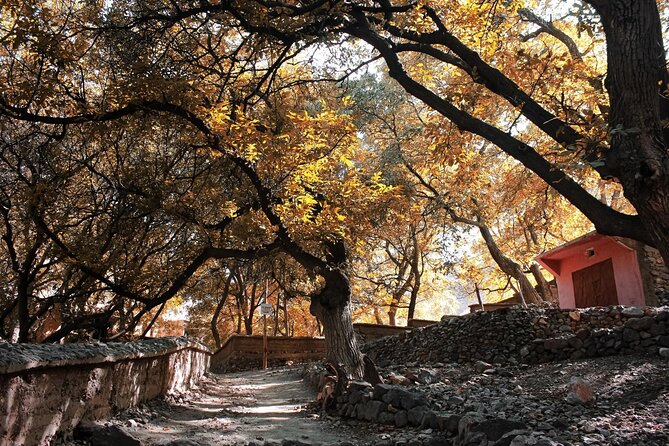 Day Tour From Marrakech to Atlas Mountains With Lunch - Booking Information