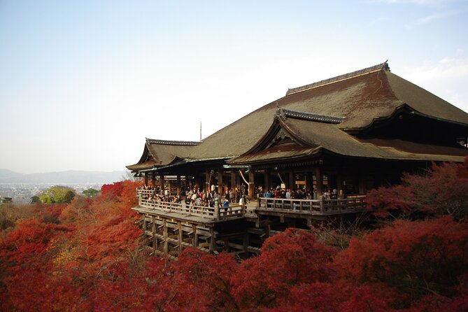 Day Tour From Osaka to Kyoto Lets Enjoy Kyotos Food and Scenery - Good To Know