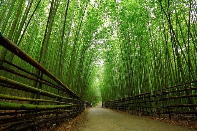 Day Tour From Osaka to Kyoto Lets Enjoy Kyotos Food and Scenery - Pricing and Reservation Details