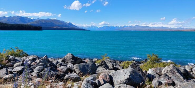 Day Tour: From Timaru to Mount Cook in Private Car - Highlights