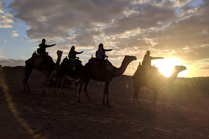 Day Tour: Giza Pyramids, Sphinx, Dahshour, Sakkara - Meeting and Pickup Details