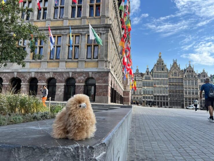 Day Tour Hague&Rotterdam From Amsterdam - Key Points