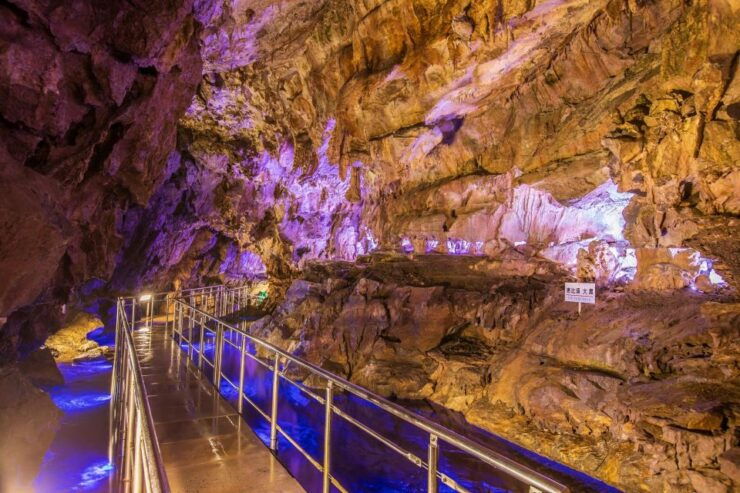 Day Tour: Hida's Gems - Caves, Bears, and Shinhotaka Ropeway - A Thrilling Ride on the Shinhotaka Ropeway