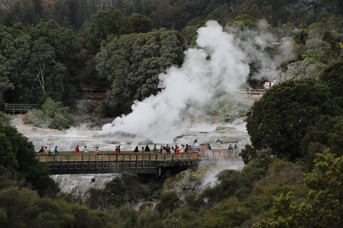 Day Tour Hobbiton Rotorua From Auckland in Luxury Minibus - Transportation and Tickets
