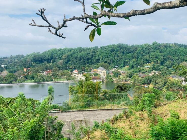 Day Tour in Awesome Kandy City From Colombo - Tour Highlights