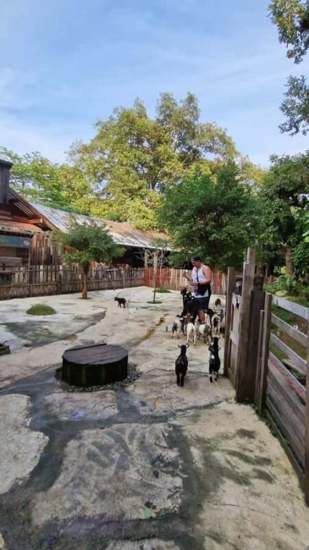 Day Tour in Chiang Mai I Sticky Waterfall & Land of Angels - FAQ