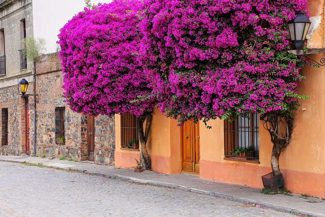 Day Tour in Colonia Del Sacramento - Uruguay - Tour Inclusions