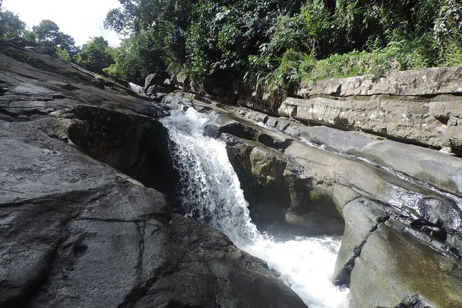 Day Tour in El Yunque Rainforest, Natural Water Slides & Luquillo Beach - Tour Highlights