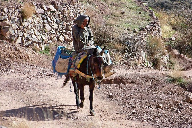 Day Tour in High Atlas Mountains - What to Bring