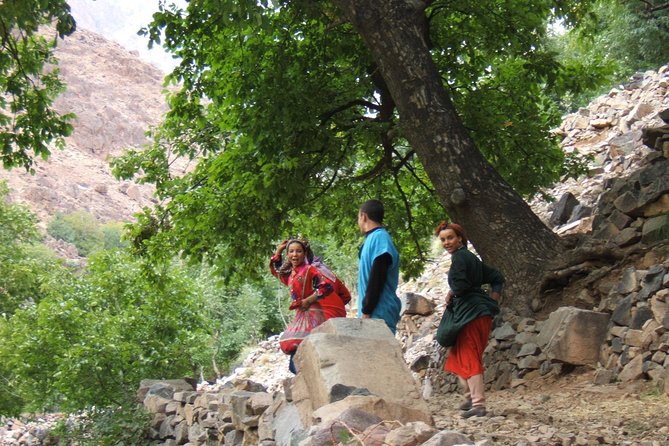 Day Tour in High Atlas Mountains - Important Information
