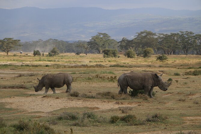 Day Tour in Lake Nakuru National Park - Good To Know