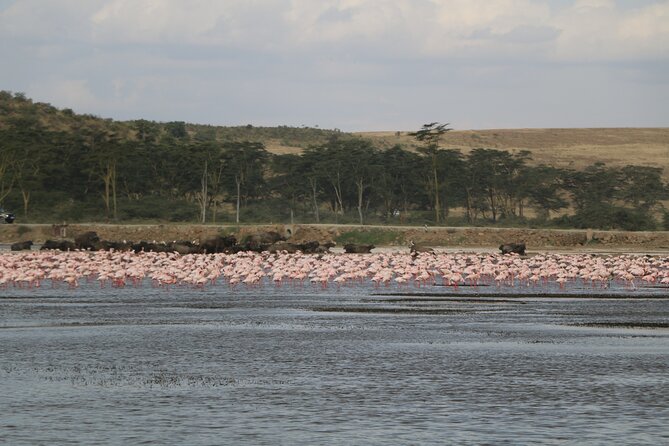 Day Tour in Lake Nakuru National Park - Booking Process