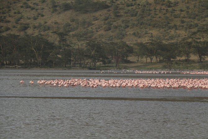 Day Tour in Lake Nakuru National Park - Directions