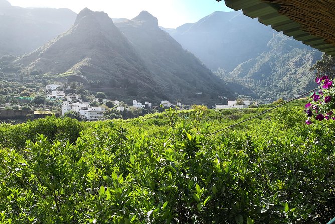 Day Tour in North of Gran Canaria With Wine Tasting - Additional Information