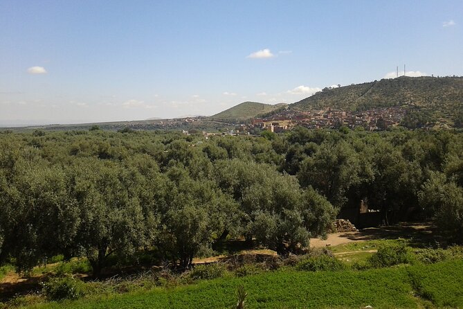 Day Tour in Ourika Valley Marrakesh Morocco - Tour Highlights