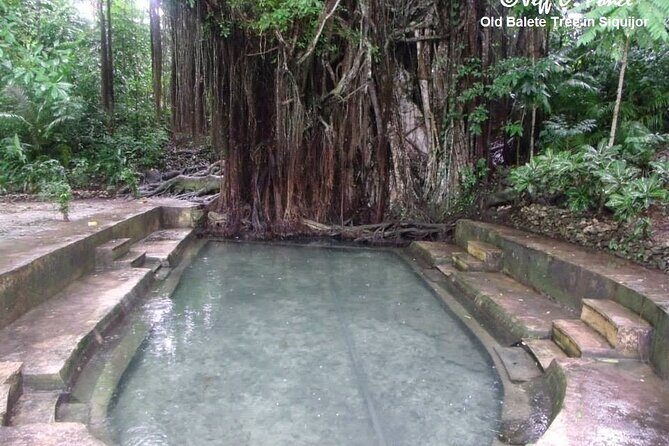 Day Tour in Siqi Private - Introduction