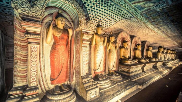 Day Tour: Kandy to Sigiriya Rock Dambulla & Minneriya Safari - Experience Details