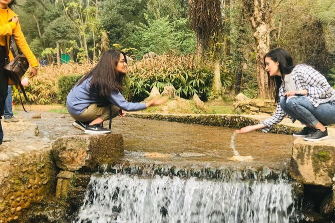 Day Tour Kathmandu Valley - Insider Tips for a Memorable Day Tour