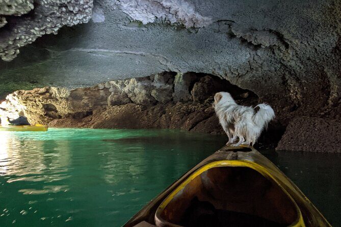 Day Tour: Kayak & Snorkel Boat Tour of Ha Long Bay - Frequently Asked Questions
