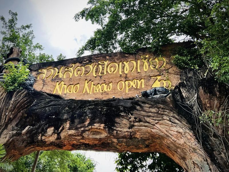 Day Tour Khao Kheaw Open Zoo From Pattaya or Bangkok by TTD GLOBAL - The key things to know before you go