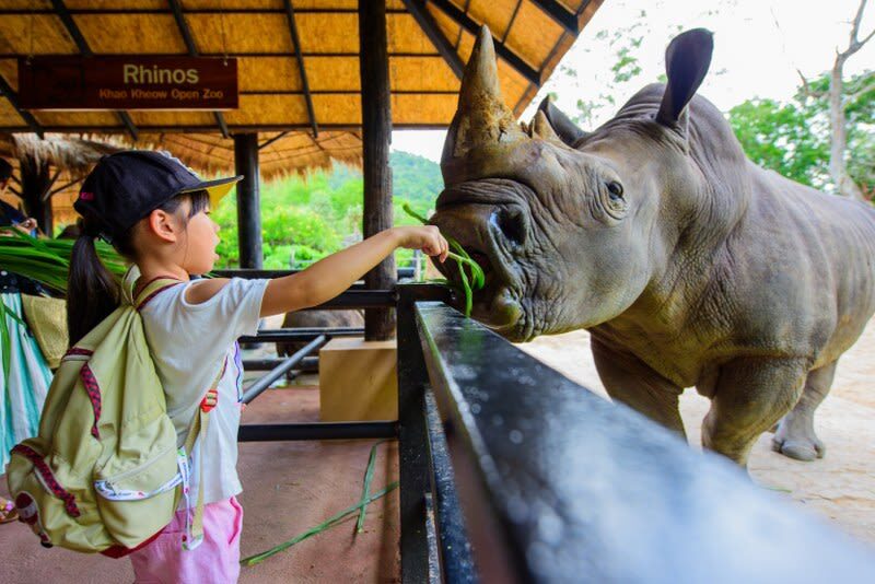 Day Tour Khao Kheaw Open Zoo From Pattaya or Bangkok by TTD GLOBAL - Entering the Pink and Green zones