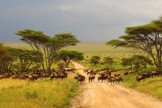 Day Tour: Lake Manyara National Park - Scenic Views