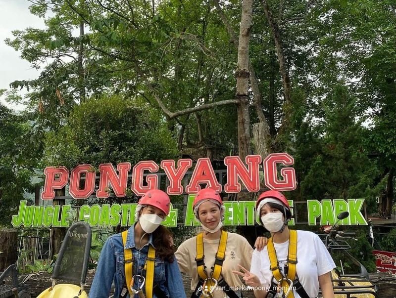 Day Tour Mae kampong/ Hot springs / Monjam / Pongyang jungle/Botonic - Queen Sirikit Botanic Garden: a broad look at plant life