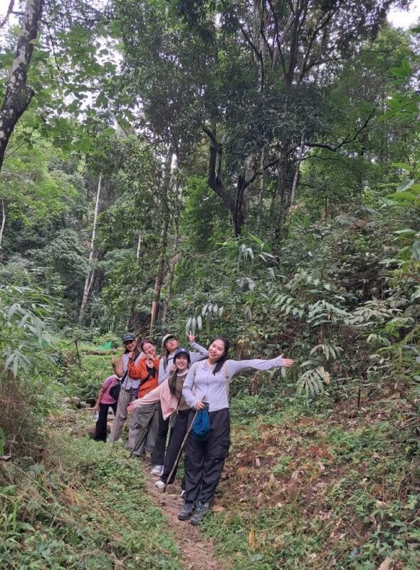 Day Tour Mae kampong/ Hot springs / Monjam / Pongyang jungle/Botonic - What the price covers, and what it does not