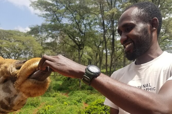Day Tour: Museum, Nairobi City Drive, Giraffe Center, Bomas - What To Expect