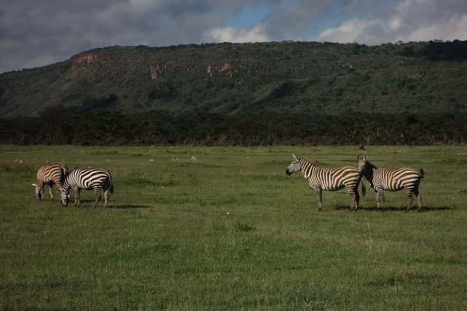 Day Tour Nairobi to the Lake Nakuru National Park - Reviews