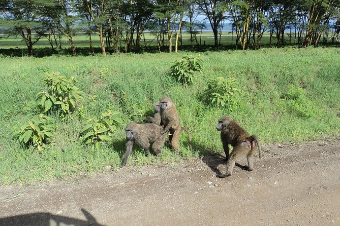 Day Tour Nairobi to the Lake Nakuru National Park - Frequently Asked Questions