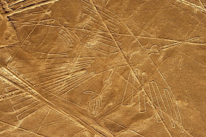 Day Tour Nazca Lines From Lima - The Sum Up and Recommendation