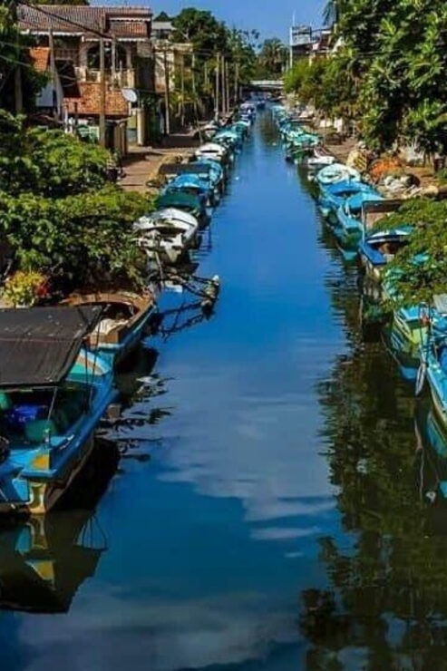 DAY TOUR - NEGOMBO - Itinerary Highlights